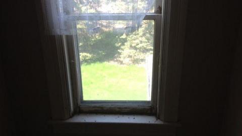 South Rundle Bundle - ebphoto 2.jpg