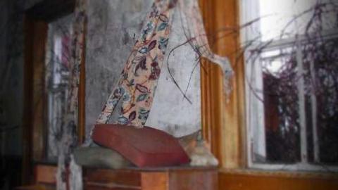 House of Dangers- Simpson Farm photo 2