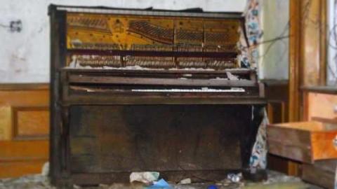 House of Dangers- Simpson Farm photo 5