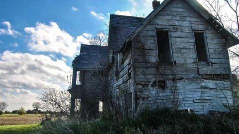 Still standing - DSC_0715.jpg