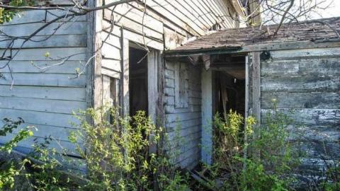 Still standing - DSC_0720.jpg