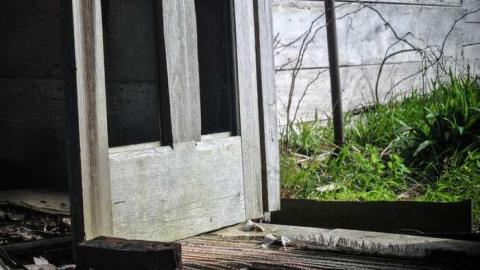 Still standing - DSC_0734.jpg