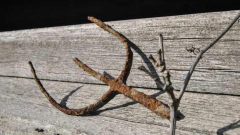 Still standing - DSC_0745.jpg