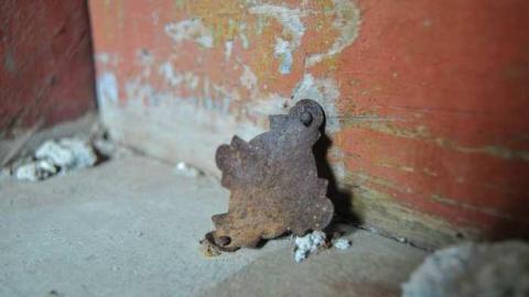 Still standing - DSC_0764.jpg