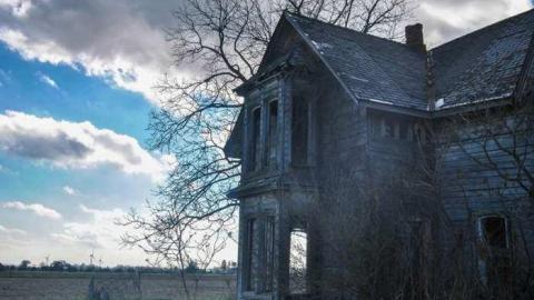 Still standing - DSC_0783.jpg