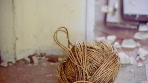 January 2012 - Jeremiahs-Field268.jpg