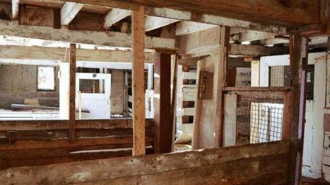 January 2012 - Jeremiahs-Field5.jpg