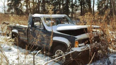 January 2012 - Jeremiahs-Field6.jpg