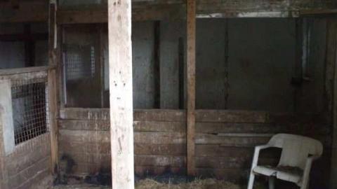 Jerimias Field - Jeremiahs-Field27.jpg