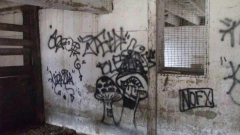 Jerimias Field - Jeremiahs-Field150.jpg