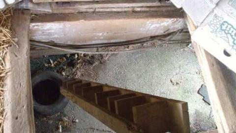 Jerimias Field - Jeremiahs-Field33.jpg