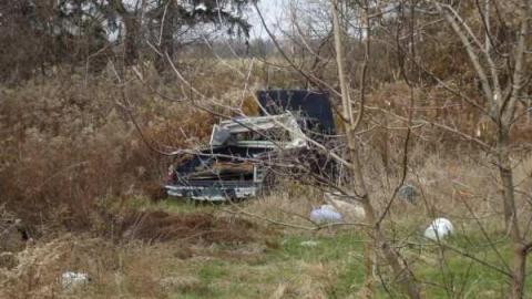 Jerimias Field - Jeremiahs-Field36.jpg