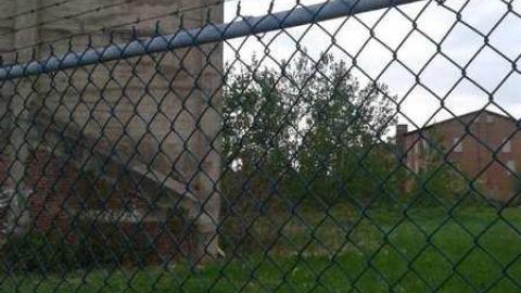 Photo from Quick Scout Late May 2014