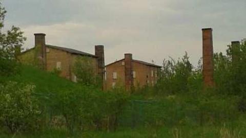 Photo from Quick Scout Late May 2014