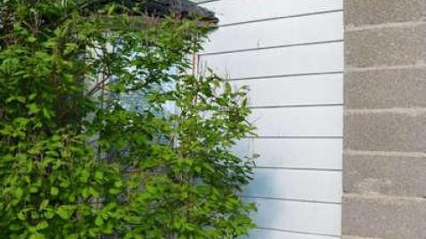 Get Sideways photo 4