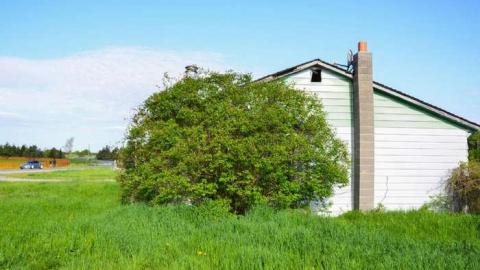 Get Sideways photo 3