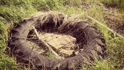 Southdale and White Oak - Southdale-Rd-House16.jpg