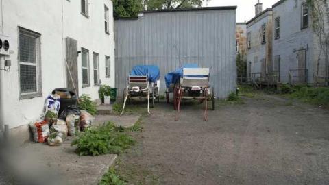 Photo from Carriage house 