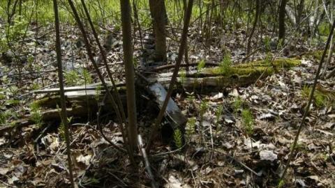 May 2012 - Gravenhurst-Nazi-POW-Camp16.jpg