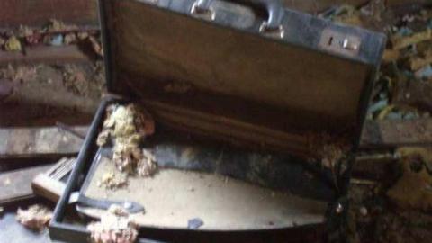 rebecca road - Rebecca-Road40.jpg