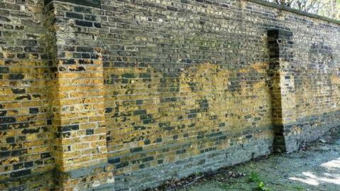 Crazy Walls 2014 - DSC09379.jpg