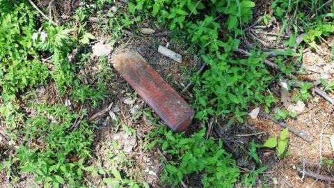 Crazy Walls 2014 - DSC09411.jpg