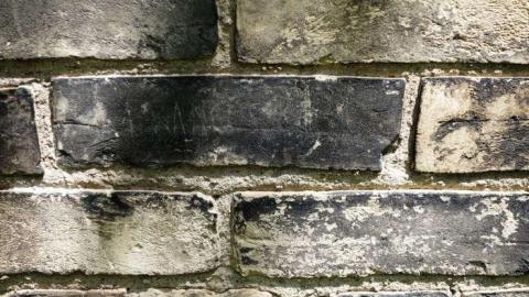 Crazy Walls 2014 - DSC09443.jpg