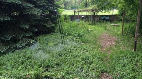 Under the Tracks photo 3