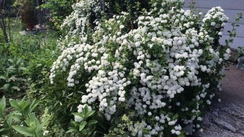 Under the Tracks photo 5