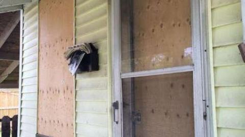 Student Housing photo 5