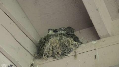 Television Keene Two-For-One photo 4