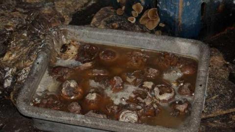 Old Pizza Smell - Carlos-Pizzaria26.jpg