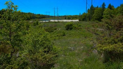 June 2014 - Kingdon-Mine2.jpg