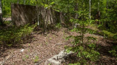 Kingdon Mine photo 3