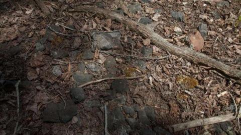 June 2014 - Kingdon-Mine10.jpg