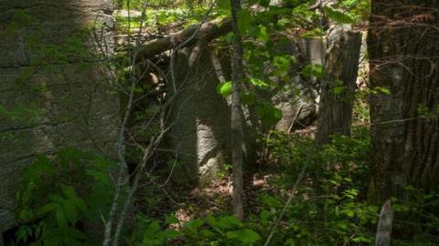 June 2014 - Kingdon-Mine24.jpg