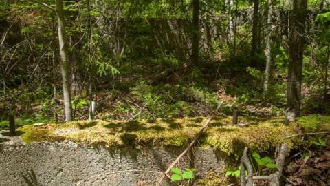 June 2014 - Kingdon-Mine18.jpg