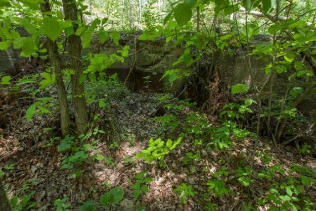 Kingdon Mine photo 3