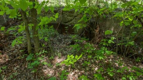 June 2014 - Kingdon-Mine25.jpg