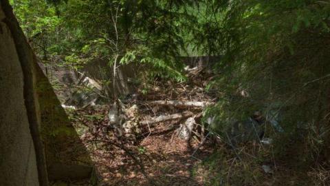 June 2014 - Kingdon-Mine20.jpg