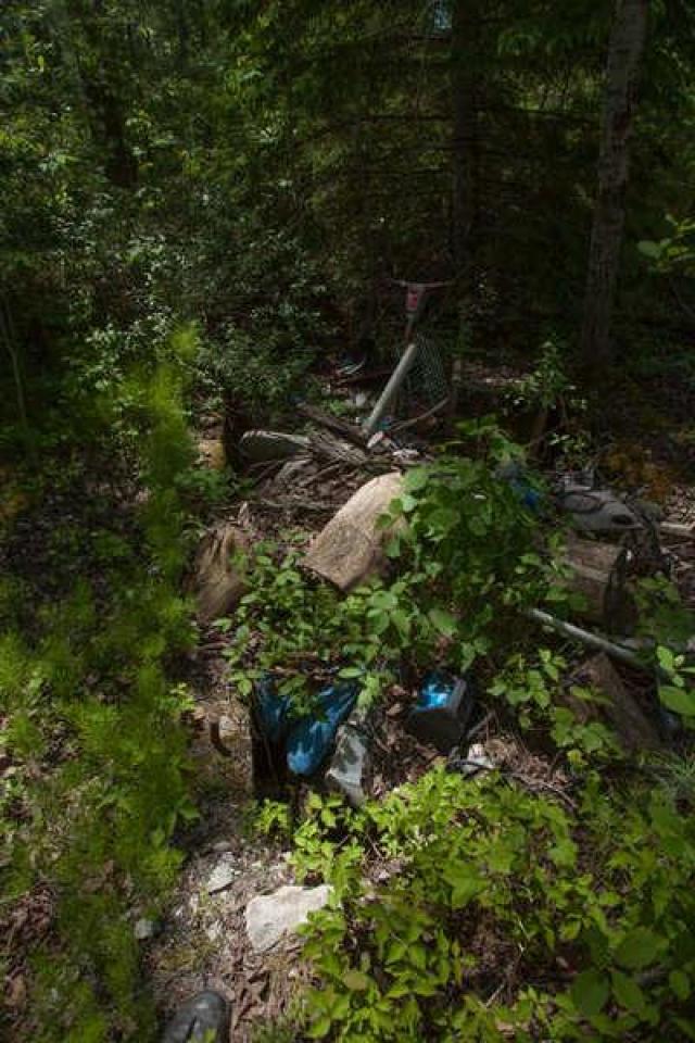 Kingdon Mine photo 5