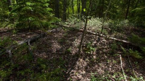 June 2014 - Kingdon-Mine32.jpg