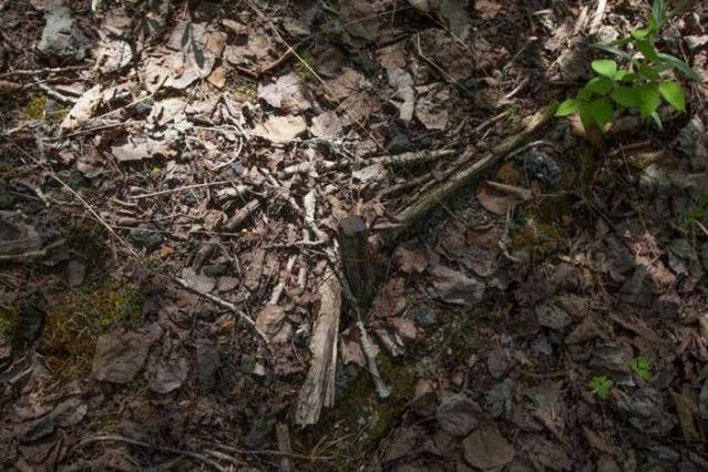 Kingdon Mine photo 2