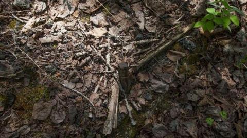 June 2014 - Kingdon-Mine22.jpg