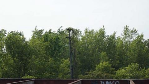 Need backup - Military-Radio-Tower22.jpg