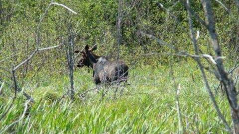 Sinful Sweetness's Images - Burwash-Correctional-Prison111.jpg