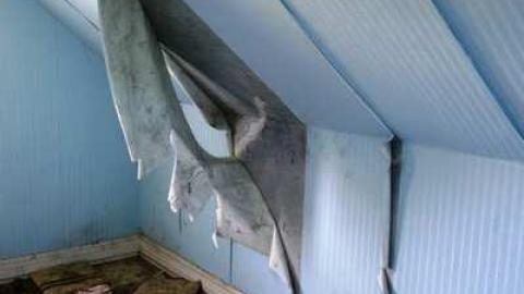 May 2014 - DSC09670.jpg