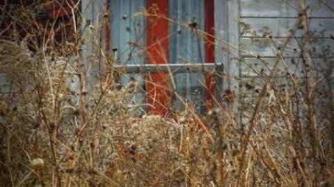 Creepy - Woodstock-1940s-House50.jpg