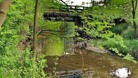 Schneider Crk Rail Bridge 1903 - Kitchener, Ontario