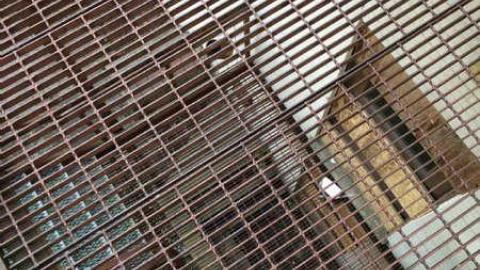 Three-Storey Downtown Office photo 4